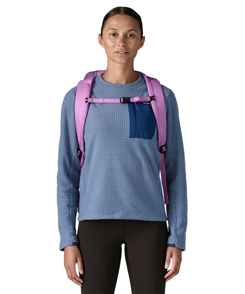 Patagonia backpack Black Hole Pack 25 liters