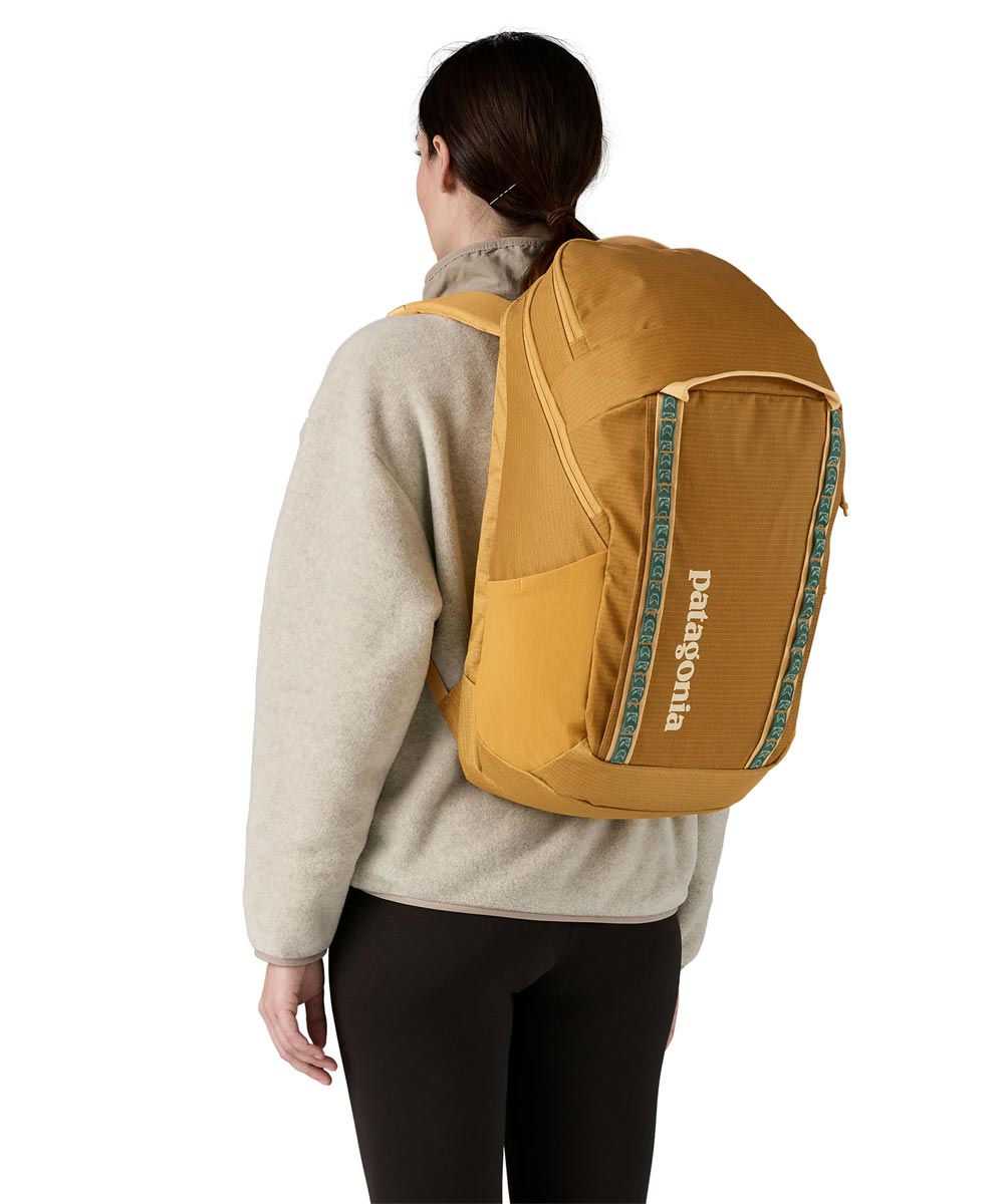 Patagonia backpack Black Hole Pack 32 liters