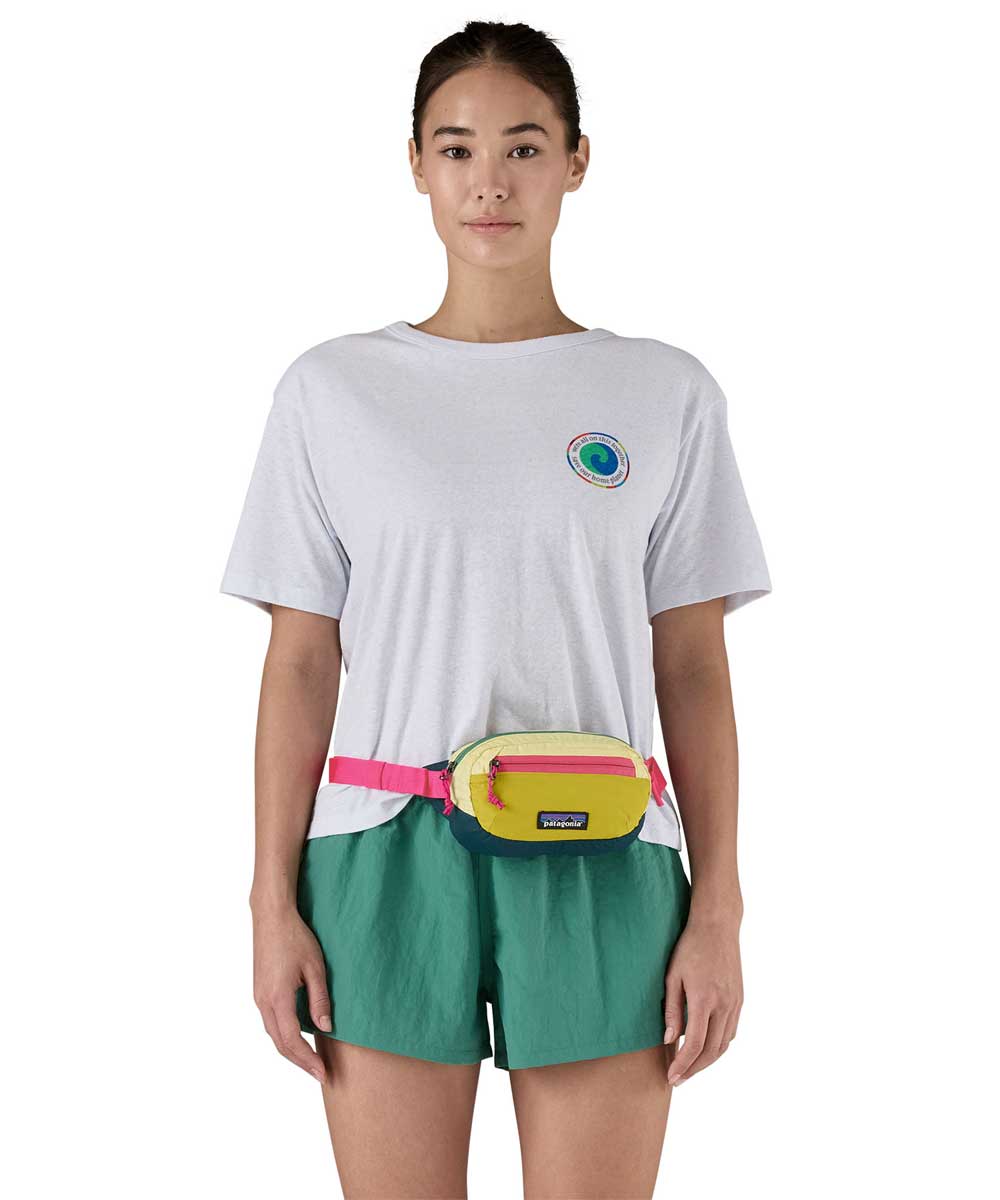 Patagonia Terravia Mini Hip Pack
