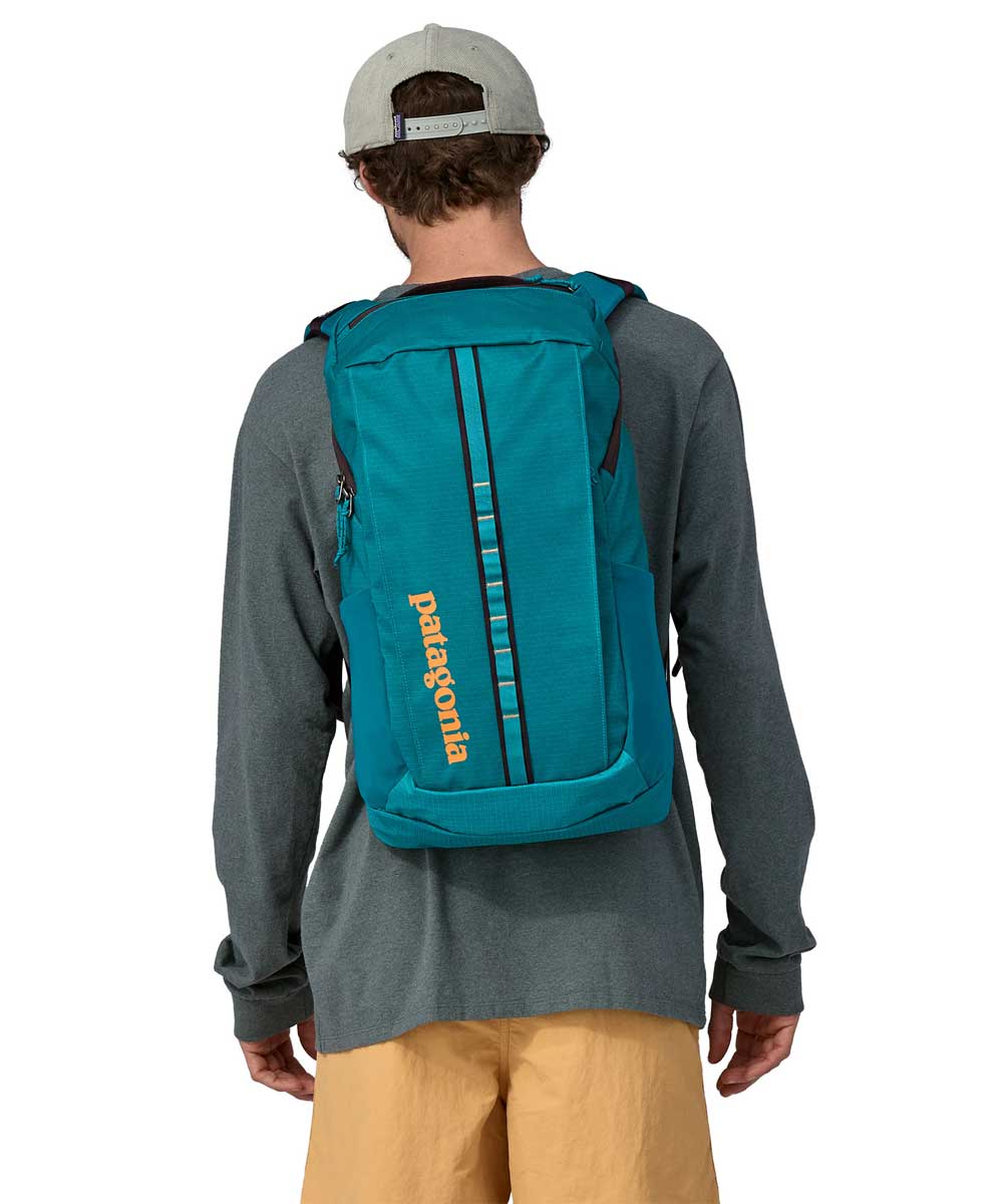 Patagonia rucksack 2024 black hole