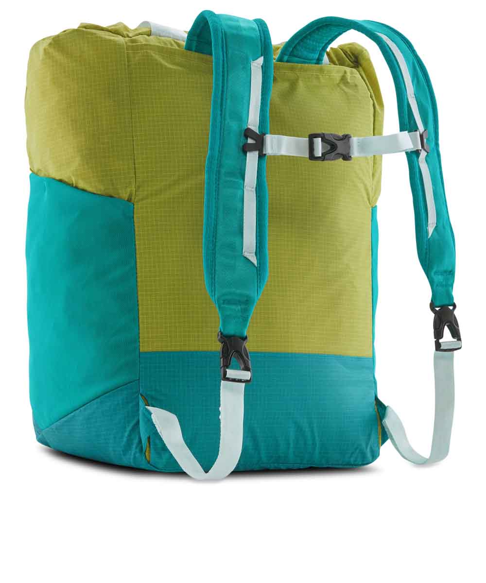 Patagonia reusable bag online